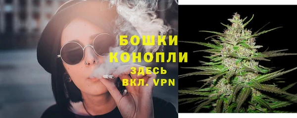 дживик Михайлов