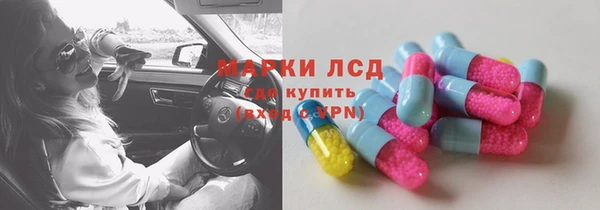 ГАЛЛЮЦИНОГЕННЫЕ ГРИБЫ Наволоки
