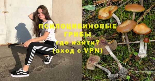 тгк Навашино