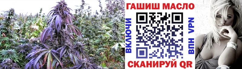 omg как войти  цены наркотик  Калачинск  Дистиллят ТГК THC oil 