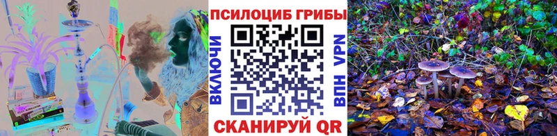 Галлюциногенные грибы MAGIC MUSHROOMS  Калачинск 