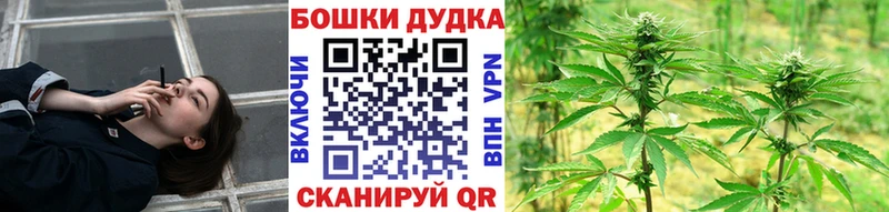 Канабис сатива  где можно купить   Калачинск 